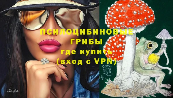 скорость Алексин