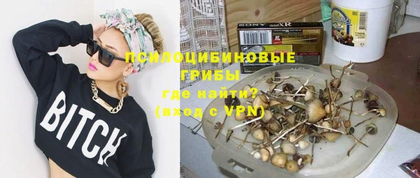 Альфа ПВП Алзамай