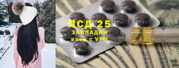 твердый Арсеньев